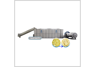 potato dryer/drying machine